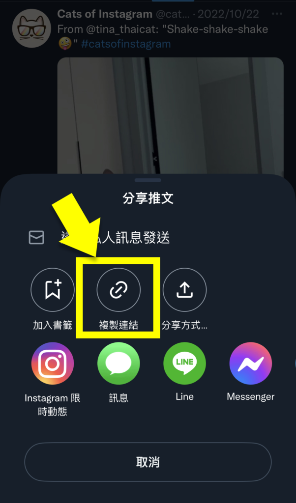取得推特影片步驟 複製推特影片連結