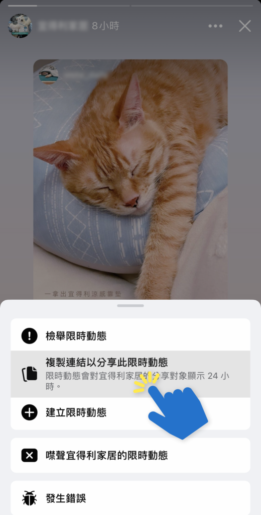 Facebook 限時動態連結複製